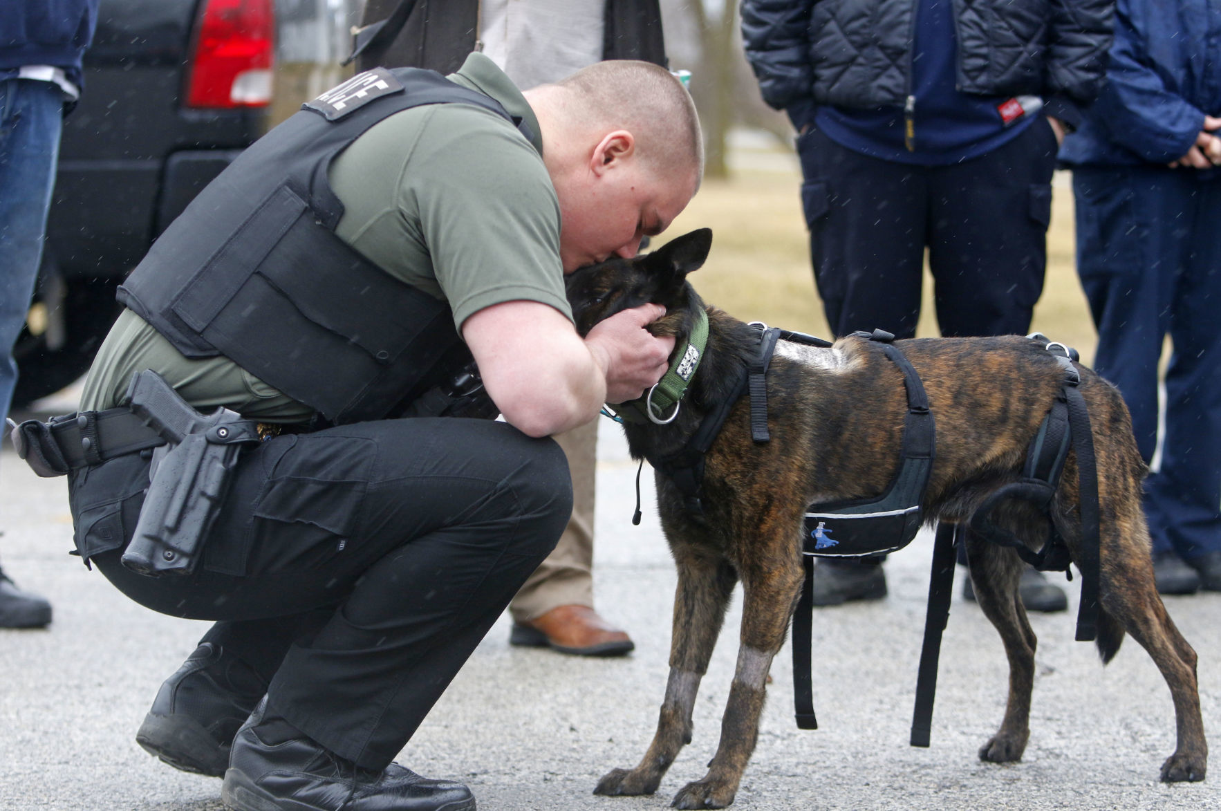 K-9 Dante's return